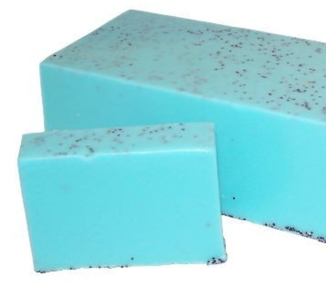 SAVON SPORIASIS A ALOE VERA 100G