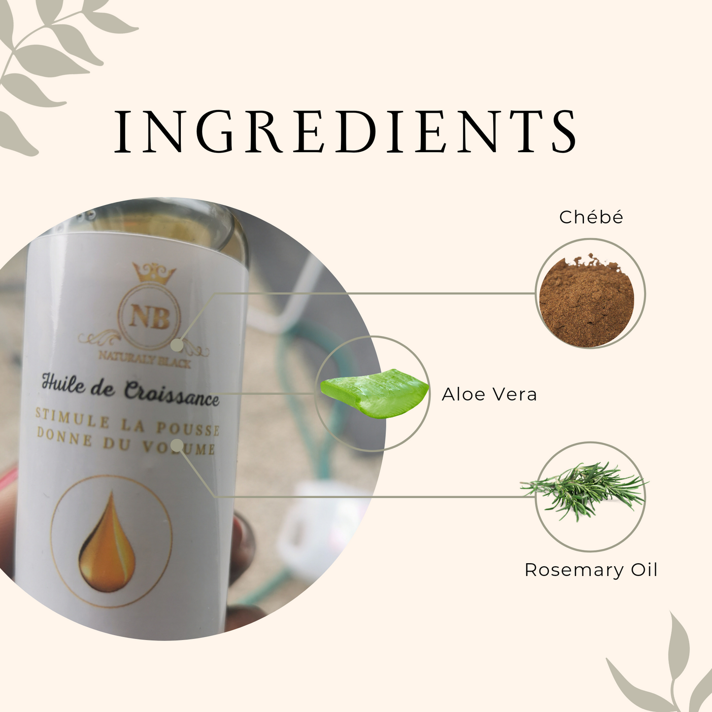 Huile de pousse au chébé